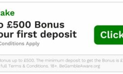 Bold claim: 20 % of players hit a big win within the first 48 hours